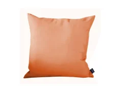 Coussin d'agrément pour salon